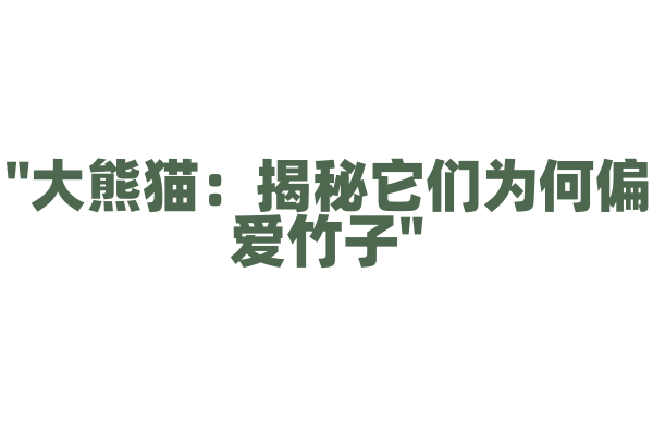 "大熊猫：揭秘它们为何偏爱竹子"